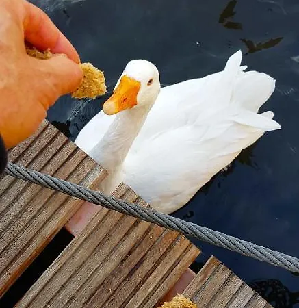 Romantic Quiet On The Canal Amsterdam